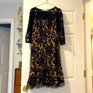Tadashi Shoji lace/mesh dress